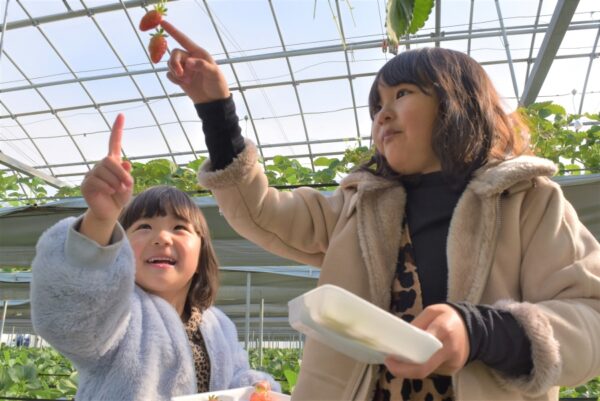 【2023年】高知県立のいち動物公園で「のいち de ナイト」｜日替わりのイベントやイルミネーションも楽しめます