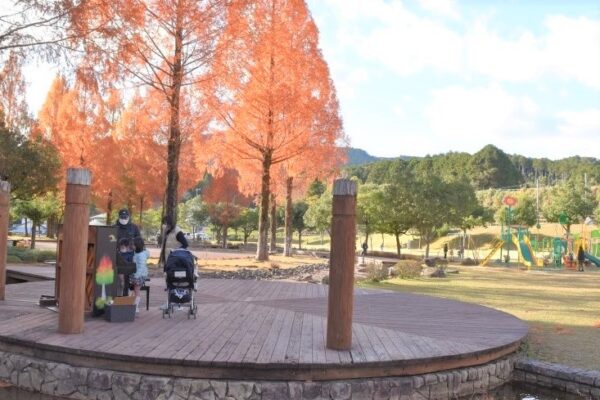 四万十緑林公園｜「森のピアノ」で大人気！高知県西部・窪川地域にある緑豊かな自然公園