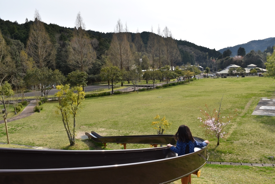 大きな芝生に向かって降りていきます