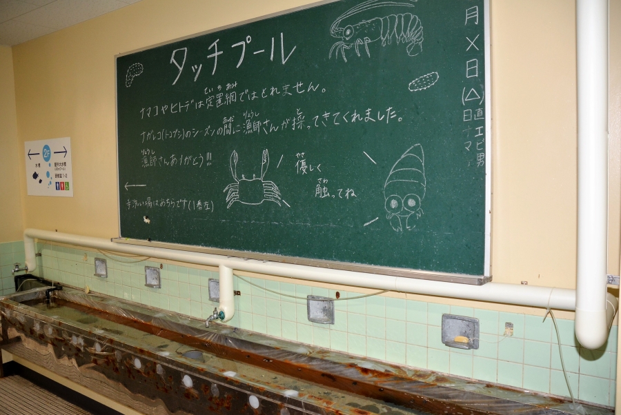 手洗い場をのぞき込むと…