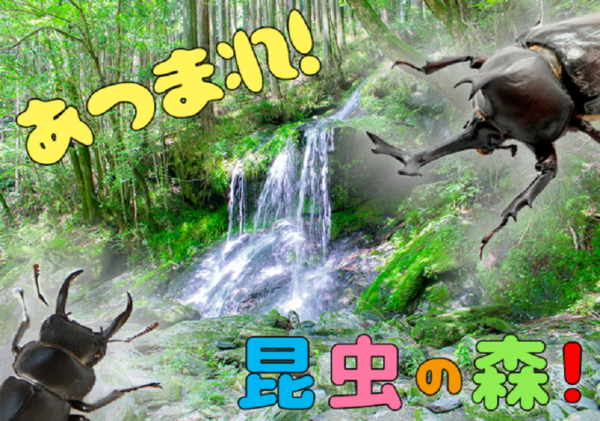 夏休みに1泊2日の自然体験を｜大川村で「あつまれこんちゅうの森」