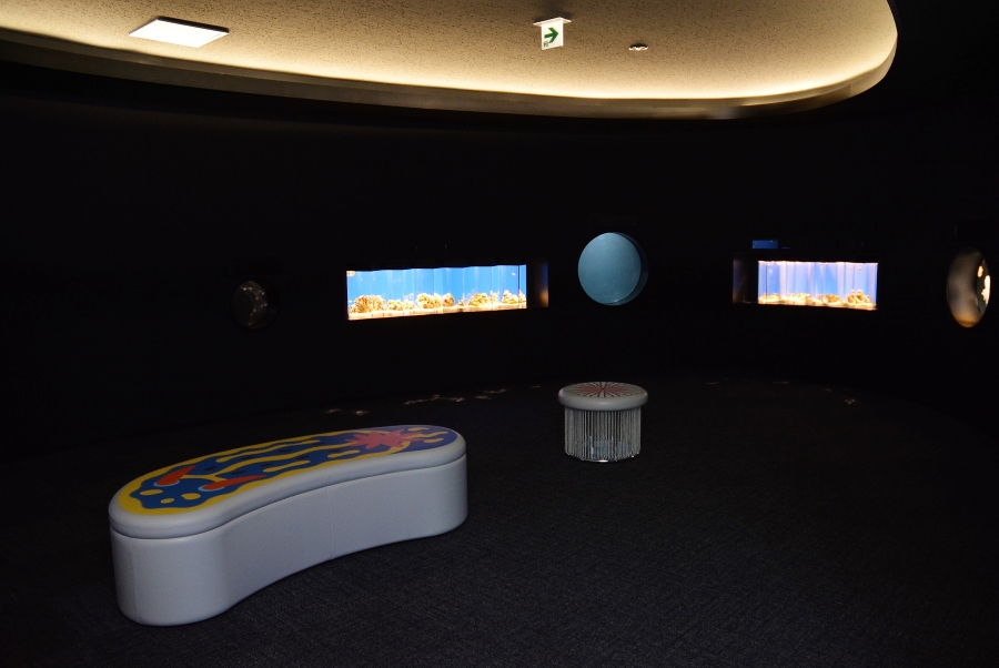 ウミウシ・クラゲの展示スペース。水槽は絵画のようでした