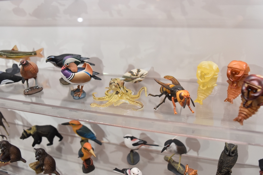 動物のフィギュアはまるで図鑑のよう