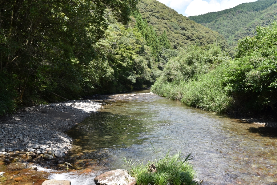 近くの川で水遊びもできます