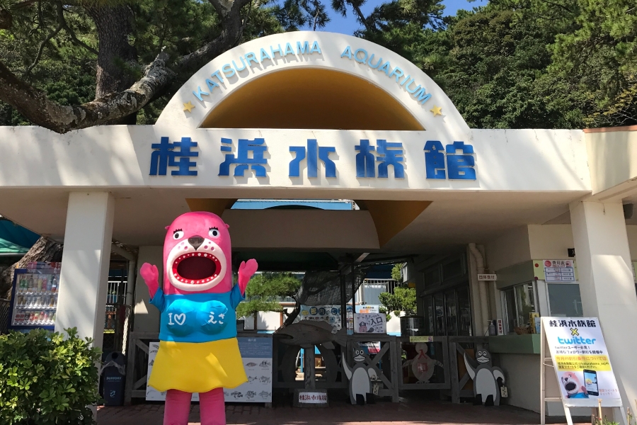 おとどちゃんに会える！｜高知市の桂浜水族館で「おとどちゃんのラブラブオータム」