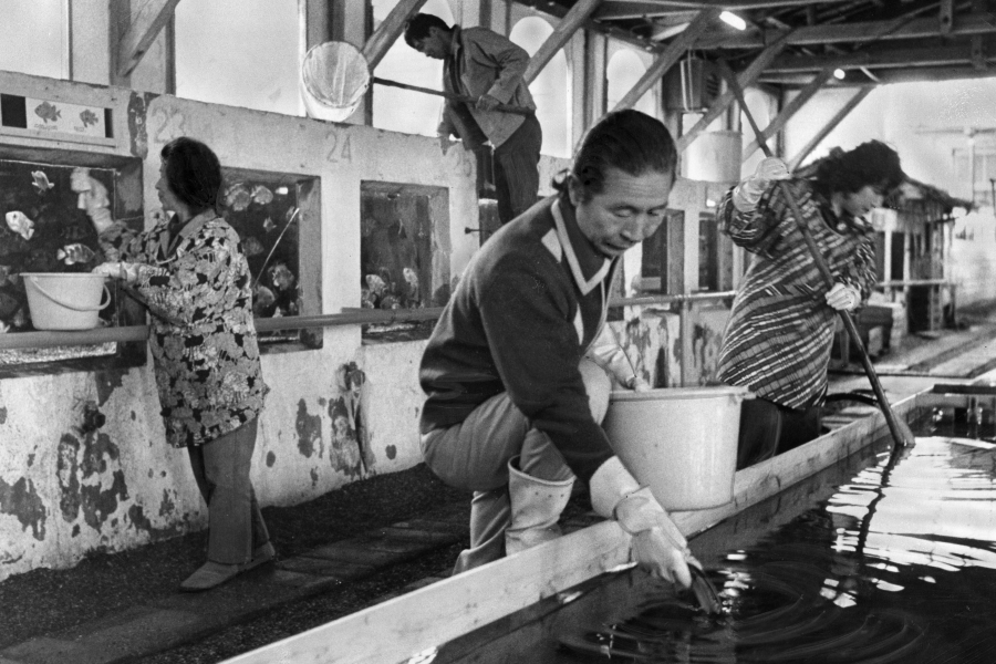 昔の桂浜水族館（1976 年）の様子