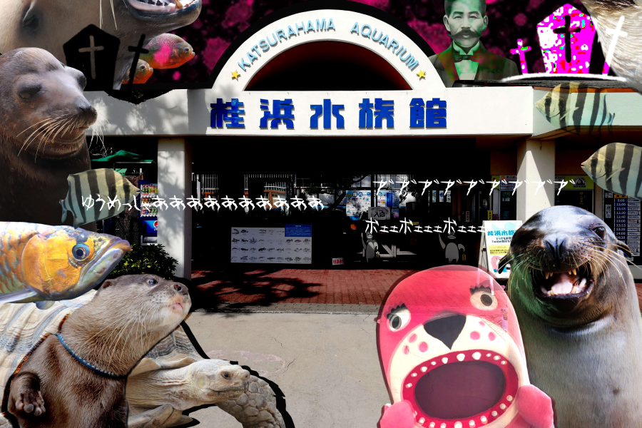 ホラーコスプレで夜の水族館を楽しもう｜高知市の桂浜水族館で「ハマスイハロウィン2020」