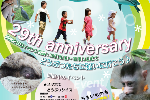 動物クイズやグルメ屋台で開園記念日イベントを楽しもう｜高知県立のいち動物公園で「29th anniversary どうぶつたちに逢いに行こう♪」