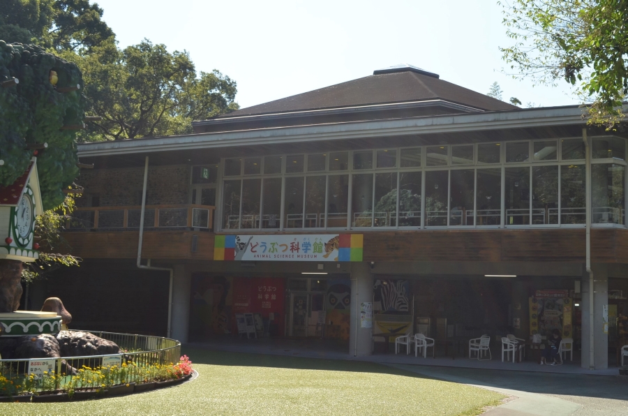 茶色の建物です。左手にからくり時計があります