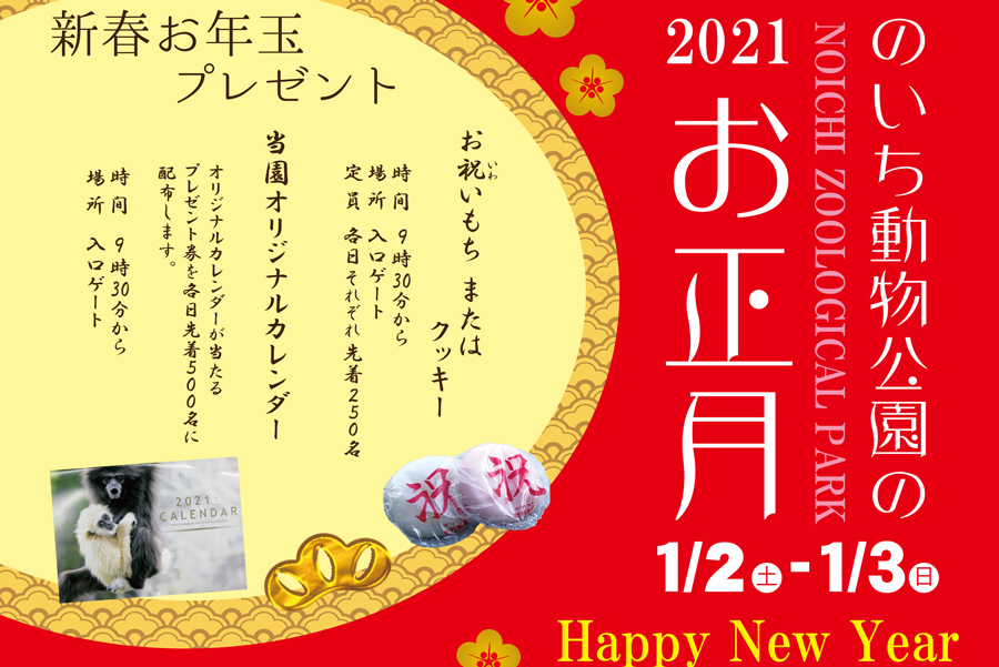 お祝いもちやクッキーがもらえる｜香南市で「のいち動物公園の2021お正月」