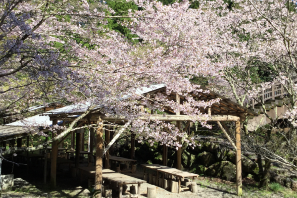 日ノ御子河川公園キャンプ場｜手ぶらで！ごみはそのまま！日帰りでBBQと自然遊びが楽しめます！