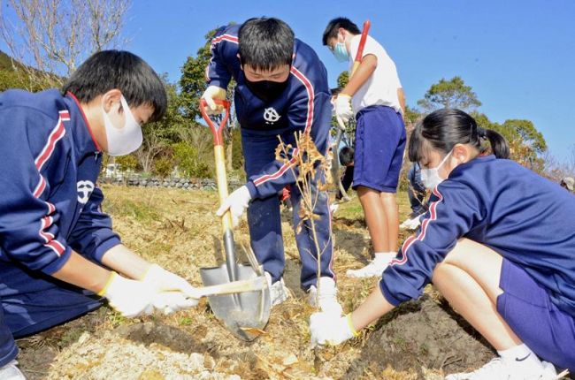 クヌギの苗木を植える三原中学校３年生の生徒ら（三原村の星ケ丘公園）
