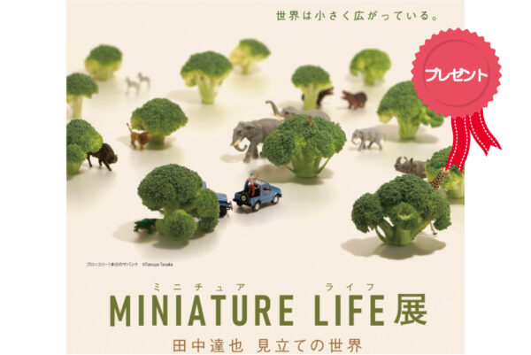 ※終了しました。高知県立美術館で「MINIATURE　LIFE展」｜招待券2枚1組を5人に（提供＝高知新聞企業）