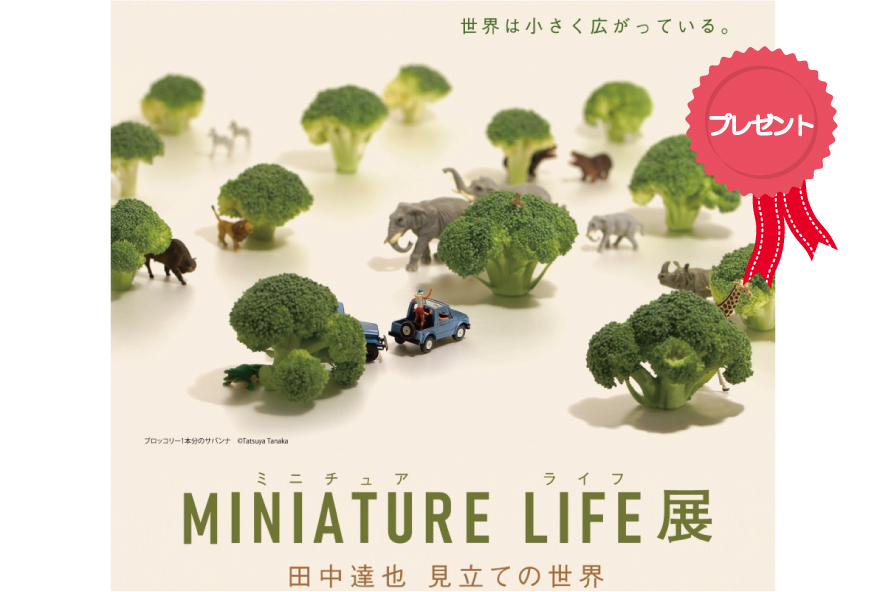 終了しました。高知県立美術館で「MINIATURE LIFE展」｜招待券2枚1組を