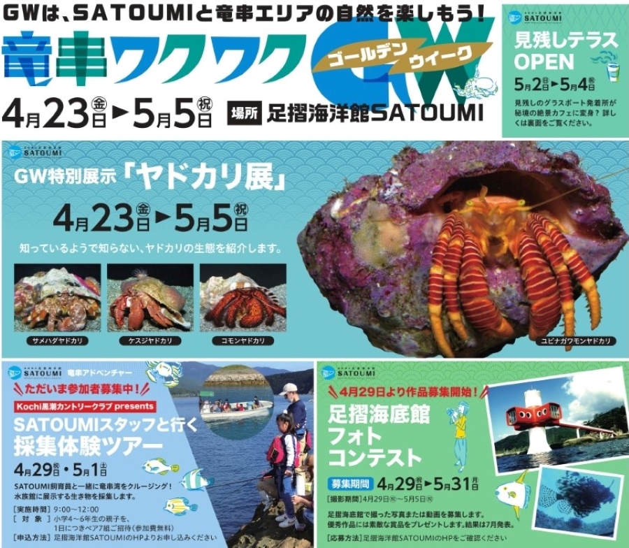 足摺海洋館「SATOUMI」で「竜串ワクワクGW」｜親子で体験イベントに参加しよう！