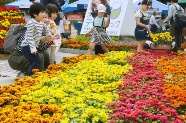 【2021年】高知市の中央公園で「こうち春花まつり2021」｜約4万鉢の花苗が登場