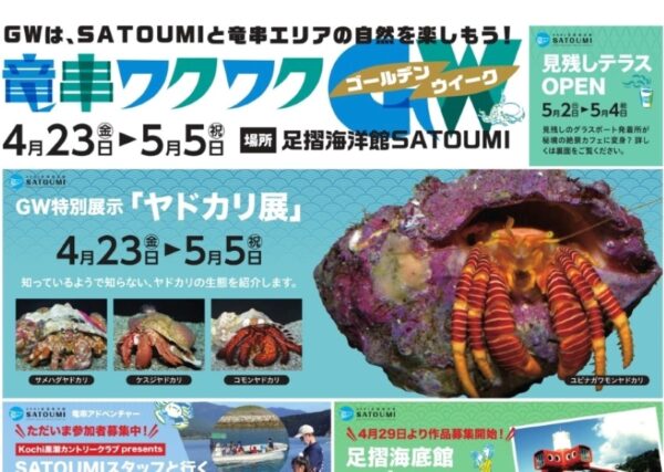 足摺海洋館「SATOUMI」で「竜串ワクワクGW」｜親子で体験イベントに参加しよう！