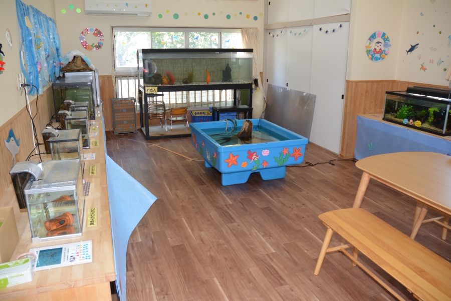 「まりんらんど」は教室を活用した水族館です