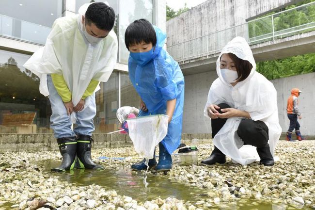 水が抜かれた池で生き物を採集する親子（越知町の横倉山自然の森博物館）