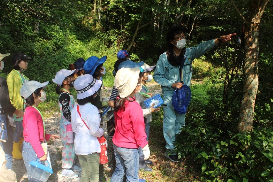 【定員に達しました】高知市で「バナナトラップをつかった昆虫観察会」｜カブトムシやクワガタが採れるかも？！申し込みはお早めに！