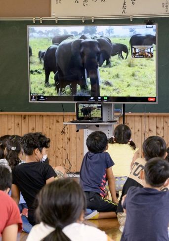 サバンナの実況中継で野生動物の姿に見入る東中筋小学校の児童（四万十市国見）