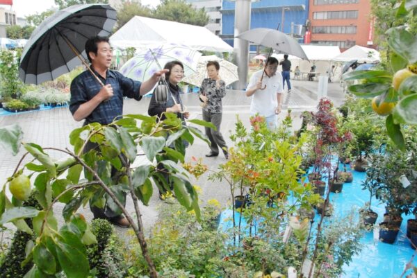 【2022年】高知市の中央公園で「第47回都市緑化祭」｜木工体験教室、クイズラリー、花の種や球根の無料配布があります