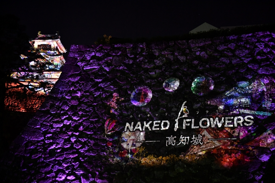 光、音、香り…花々が空間を彩ります｜「NAKED FLOWERS（ネイキッドフラワーズ） -高知城-」に行ってみた