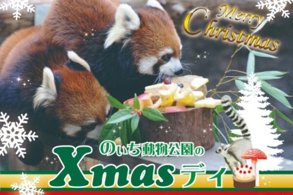 香南市で「のいち動物公園のXmasデイ」｜先着でサンタからプレゼント！動物たちにはケーキがプレゼントされます