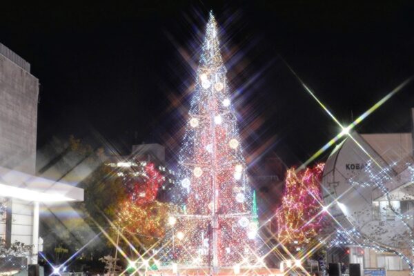 「クリスマスマーケット2022 in 高知」に行ってみた｜中央公園にイルミネーションタワーが登場！木造ヒュッテでクリスマス気分を満喫！