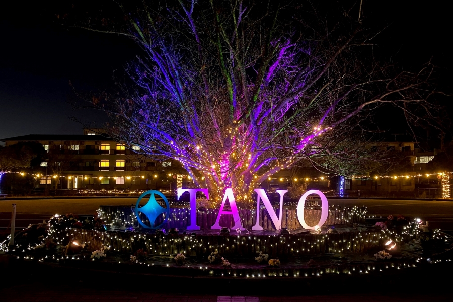今年は「TANO」の文字パネルが設置されています