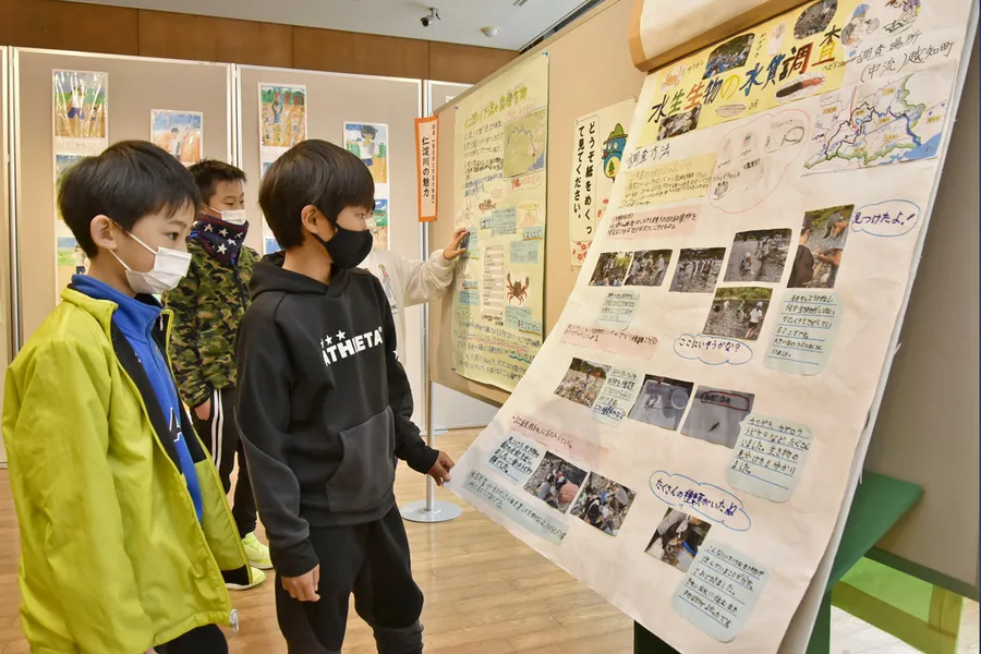 子どもたちの学習成果を展示する企画展（越知町の横倉山自然の森博物館）