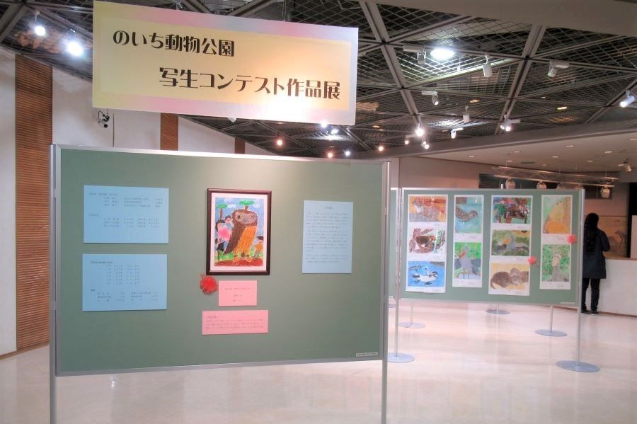 高知県立のいち動物公園で「第29回写生コンテスト作品展」｜小学生の入賞作品が展示されています