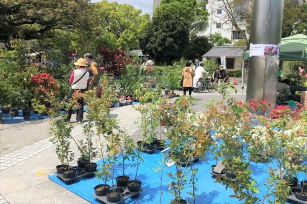高知市の中央公園で「みどりの週間」｜木工体験、苗木や花の種の無料配布などがあります