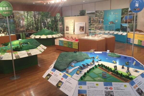 越知町の横倉山自然の森博物館で「つなげ！高知の少ない生きものたち」が展示されています