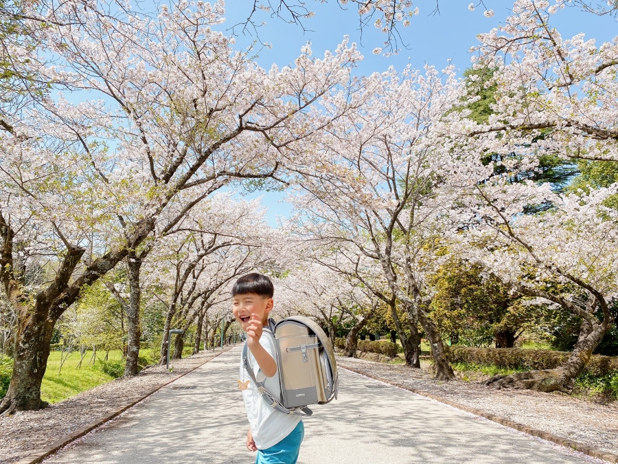 第1回グランプリ作品。ピカピカのランドセルと一緒に撮影しました。桜や笑顔の”晴れ晴れ感”があっぱれ！