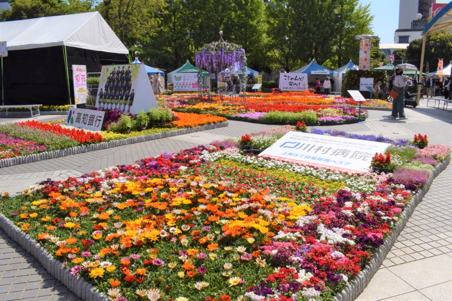 【2022年】高知市の中央公園で「こうち春花まつり2022」｜約4万鉢の花苗が中央公園を彩ります。ステージイベント、ご当地グルメも