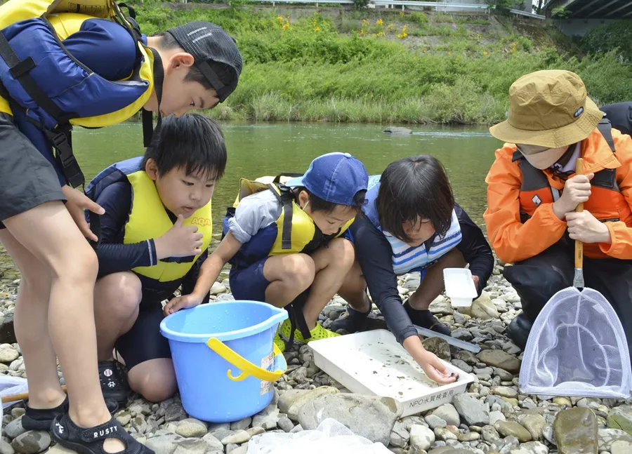 四万十川で捕まえた生き物を観察する窪川小学校の児童ら（四万十町大井野）