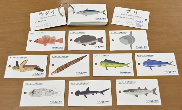 【イチ押しニュース】むろと廃校水族館が当日券を単語カード型にリニューアル。海の生物が日替わりで登場します