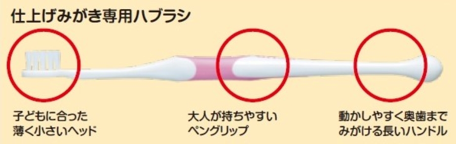 仕上げ磨き用の歯ブラシを選ぶポイント（高知県歯科医師会提供）