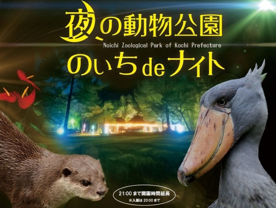 【2022年】高知県立のいち動物公園で「のいち de ナイト」｜昼間とは違う動物の生態やライトアップを見に行こう！