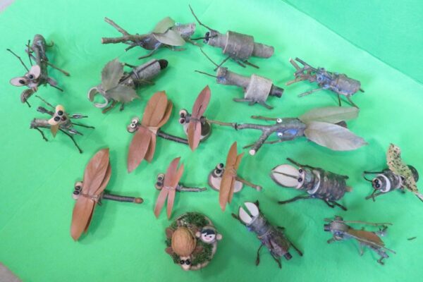 高知県立森林研修センター情報交流館で「小枝クラフト」｜自然の素材を使って昆虫や森の仲間を作ろう！
