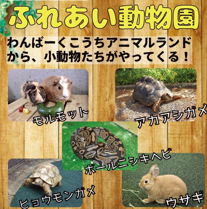 足摺海洋館「SATOUMI」でふれあい動物園｜かわいい小動物たちがやってくる！