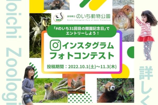 高知県立のいち動物公園で「インスタグラムフォトコンテスト」｜園内で撮影した写真をインスタにアップしよう