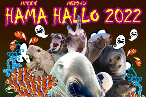 【2022年】高知市の桂浜水族館で「ハマハロ2022」｜スリリングな餌やりなど、普段とは違うハマスイを体感しよう！