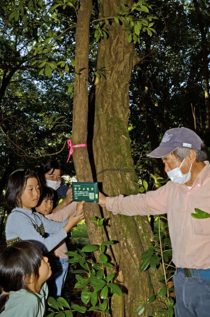 大人に教わりながら樹木札を付ける子どもたち（香南市の「のいち冒険の森」）