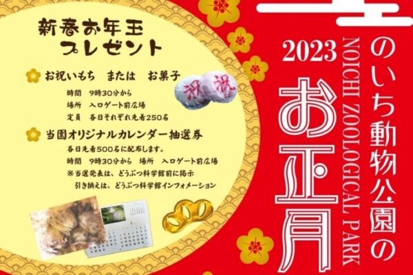 【2023年】香南市で「のいち動物公園のお正月イベント」｜お祝い餅、お菓子のプレゼントがあります
