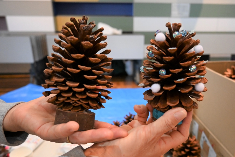 クリスマスツリーに使う松ぼっくりは森林総合研究所からの提供。大きい！