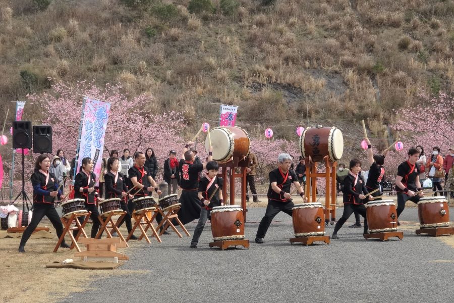 室戸市で「第13回むろと2000本桜祭り」（高知県立室戸広域公園）｜ステージイベントやうどん、五目ずし、桜餅の販売があります