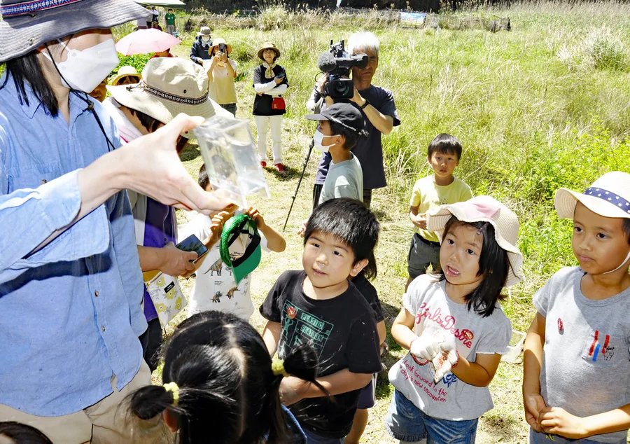 子どもたちが生物や環境の大切さを学んだ観察会（四万十市のトンボ自然公園）