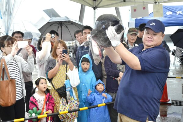 【2024年】高知市で「第23回よこせと海辺のにぎわい市」（灘漁港）｜魚の解体ショー、鮮魚・農産物販売、子ども向けゲーム、はしご車体験などが楽しめます